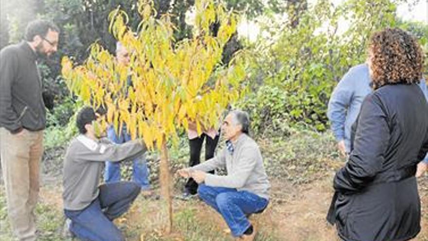 Doce empresas locales operan ya en el ámbito de la agricultura ecológica