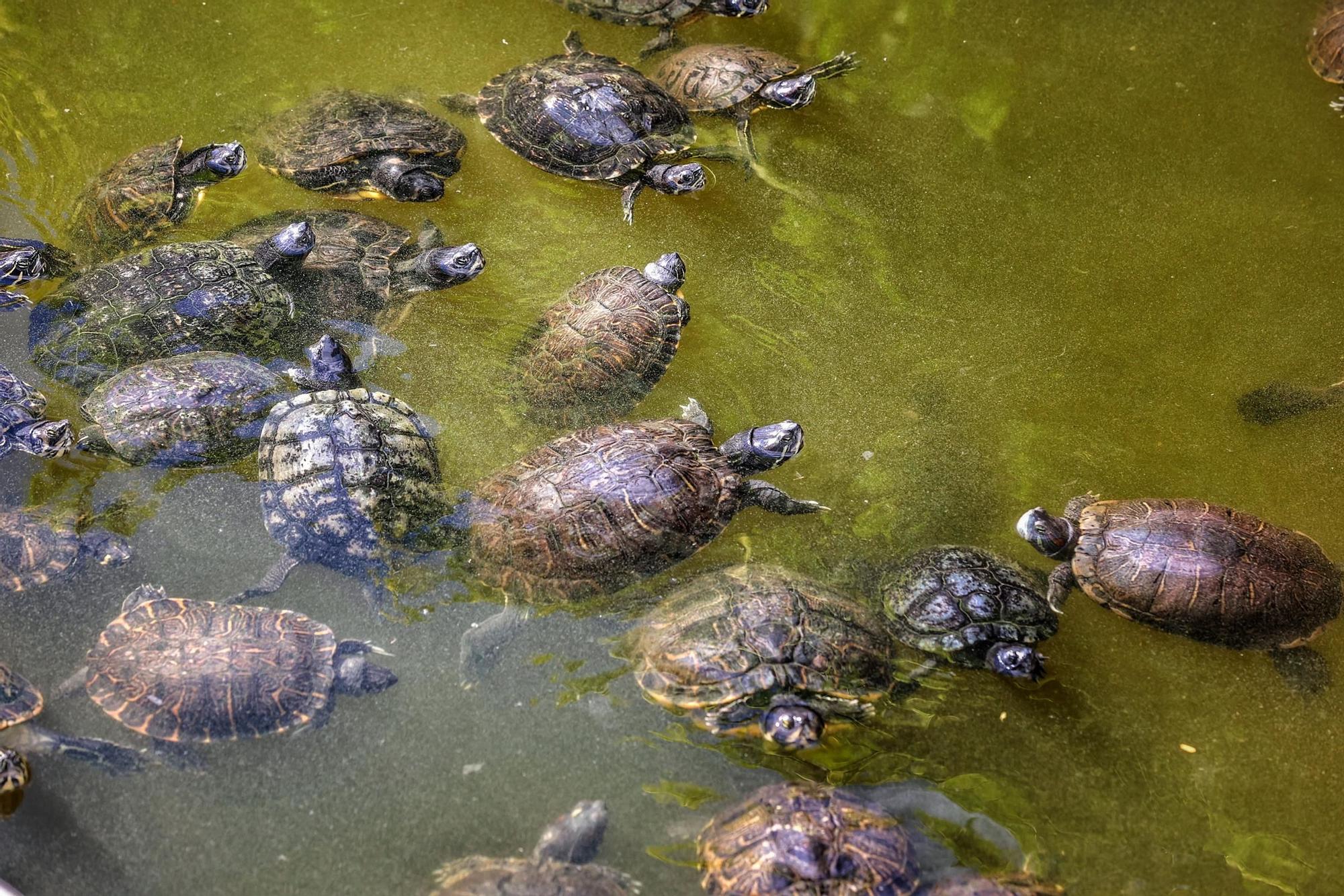 Centro de Fauna Exótica de Santa Cruz