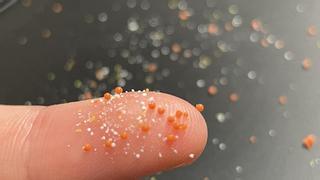 Encuentran por primera vez microplásticos en la sangre humana