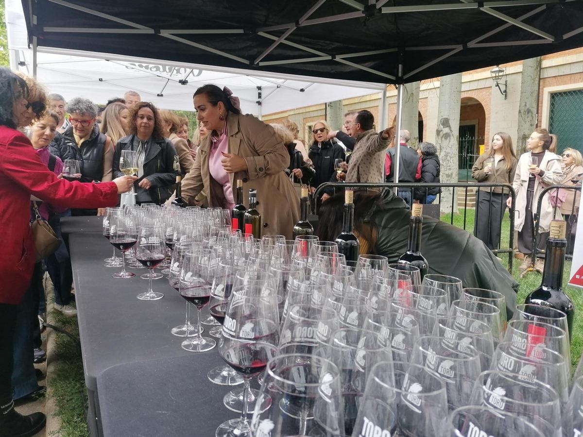 GALERÍA | Toro brinda por los vinos de la DO y el enoturismo
