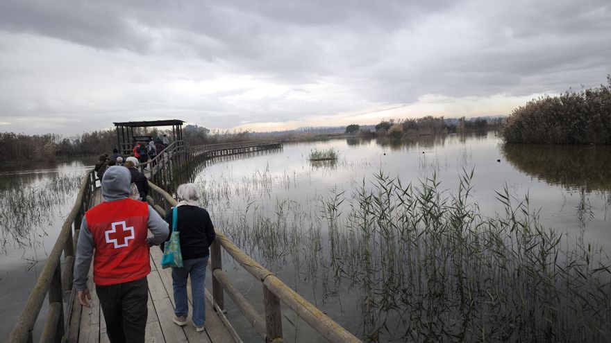 El Hondo estrena una ruta 100 % accesible y bate récord de visitas