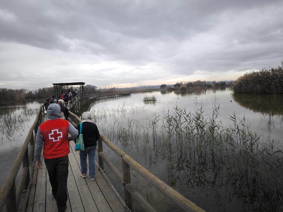 El paraje de El Hondo estrena la remodelación de su ruta 100% accesible y bate récord de visitas con casi 44.000 personas