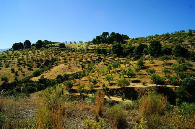 Valle de Lecrín, Granada