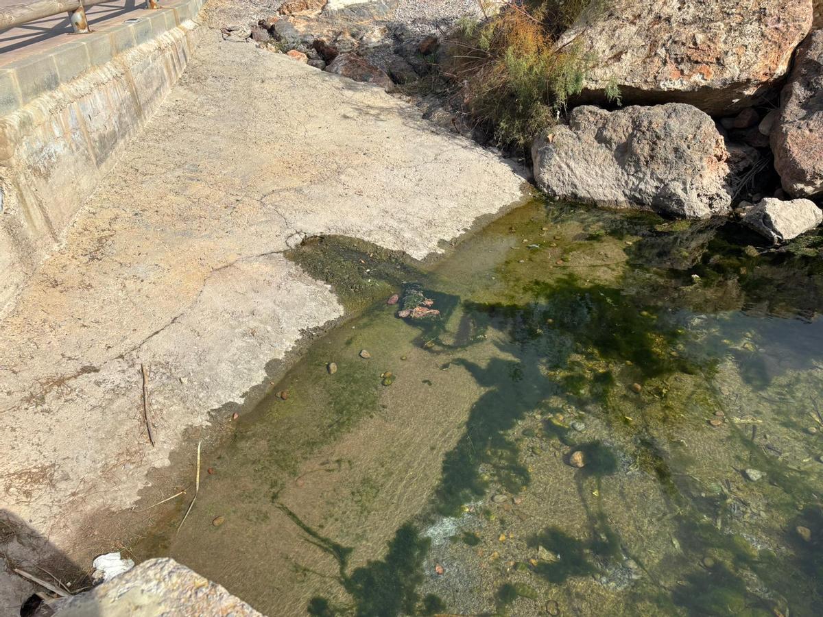 Detalle del posible vertido.