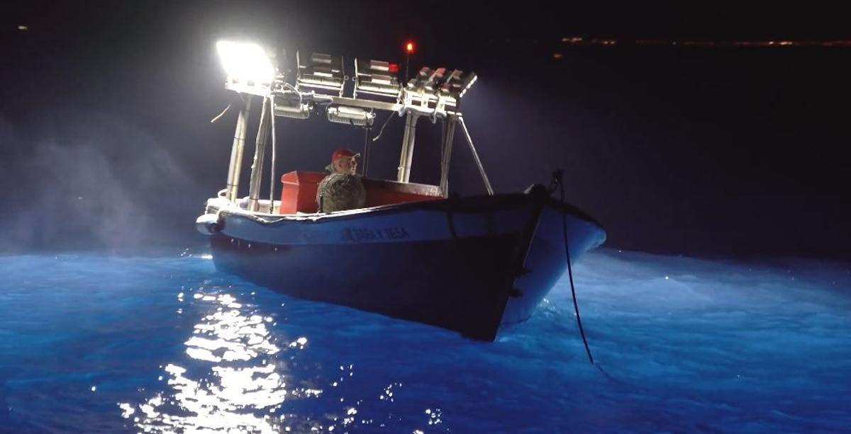 Die Sardine wird mitten in der Nacht gefangen