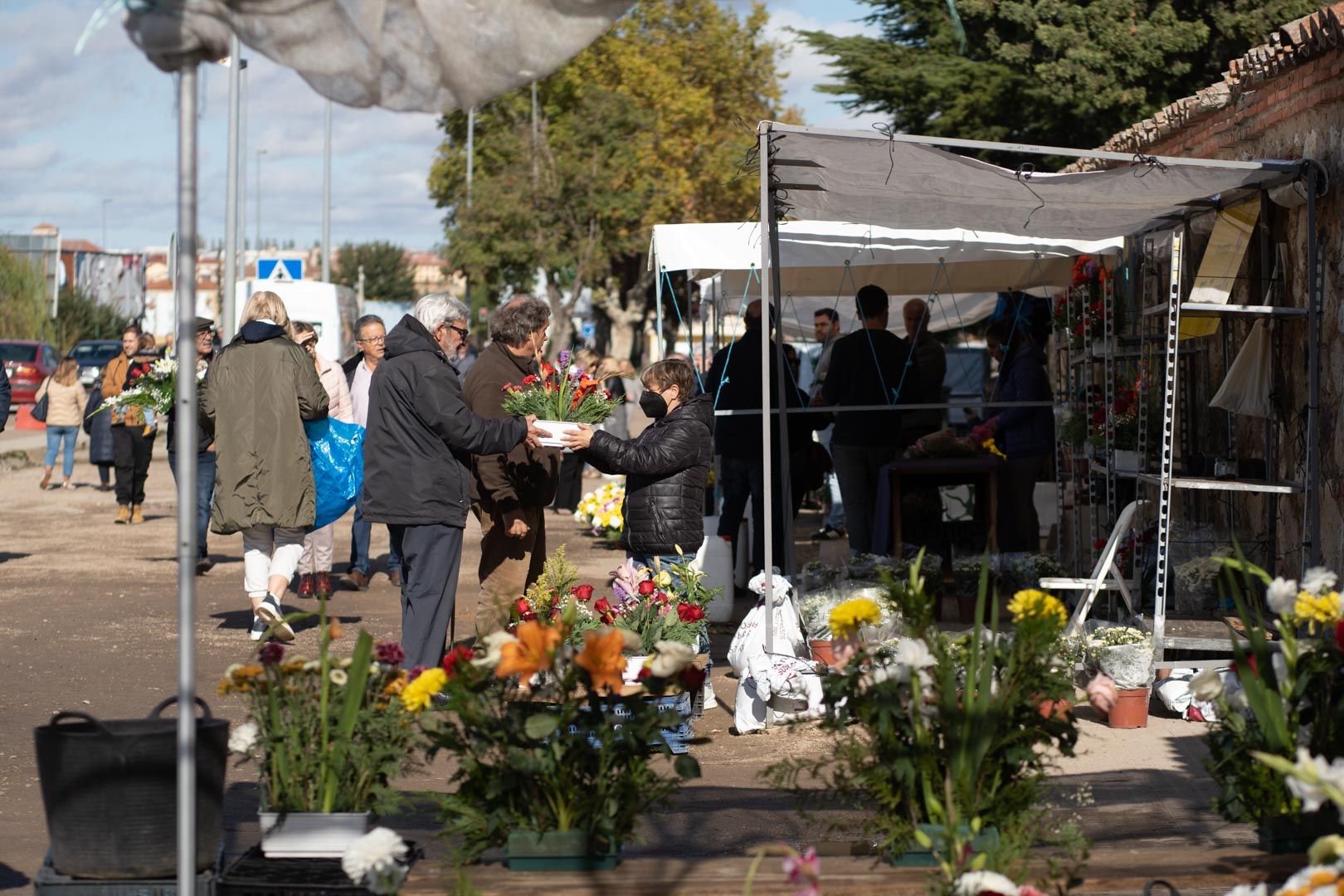 GALERÍA | La imágenes del Día de Todos los Santos en el cementerio de Zamora