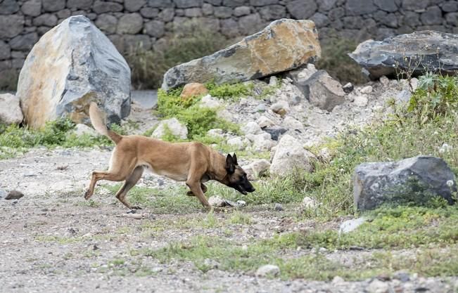 Reportaje a la Unidad Canina de la Policia ...