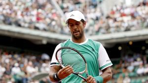 Fernando Verdasco, en París.