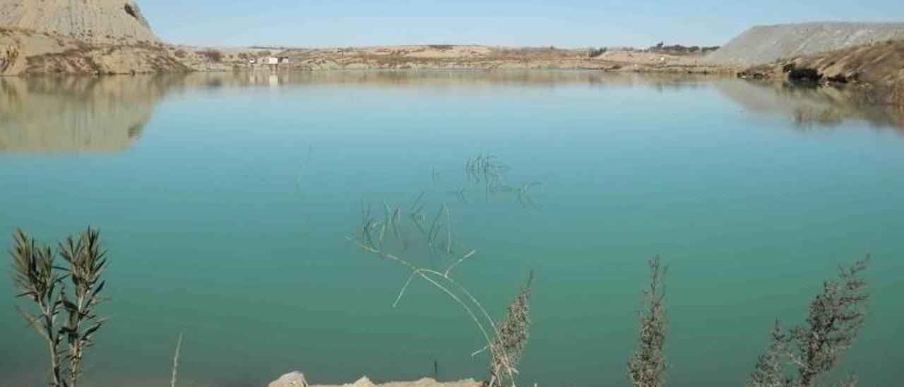 El embalse devuelve            la vida agrícola a Real