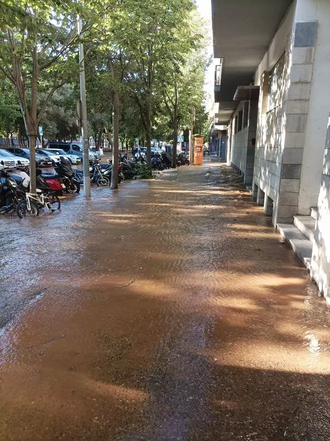 Les imatges de carrers inundats al barri Carme-Vista Alegre de Girona