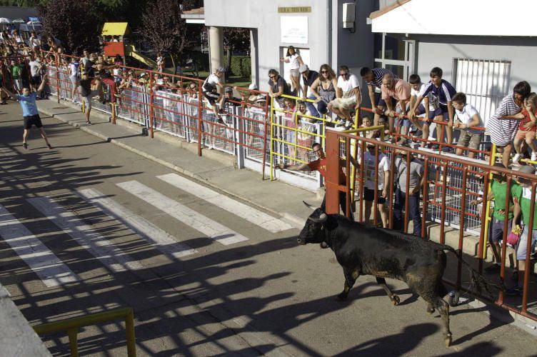 Fiestas de Santa Cristina de la Polvorosa 2017