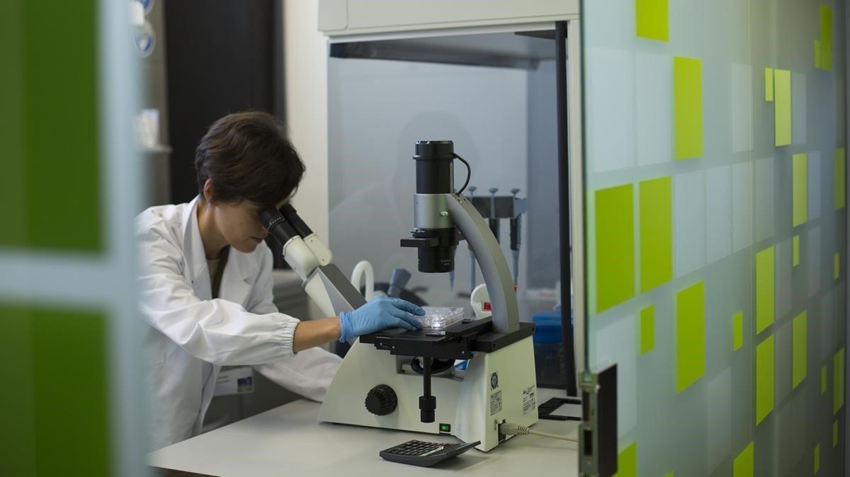 zentauroepp40310908 barcelona 27 09 2017 cientifica del equipo de nuria montse190208204148 zentauroepp40310908 barcelona 27 09 2017 cientifica del equipo de nuria montse190208204148