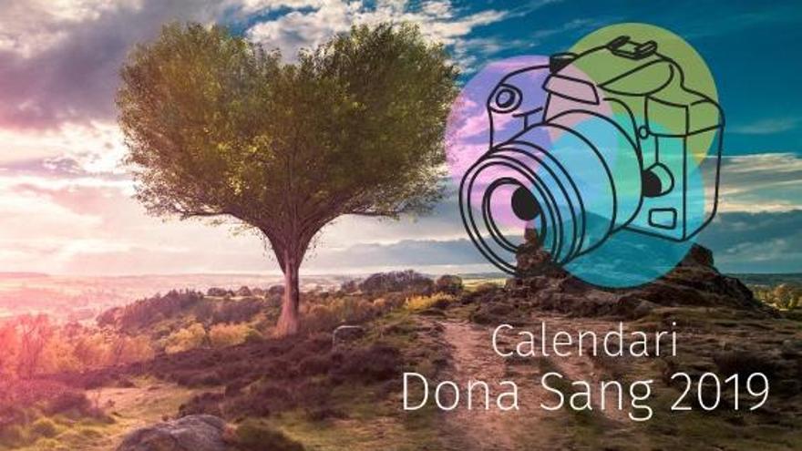 ¿Quieres que tus fotos salgan en el calendario Dona Sang 2019?