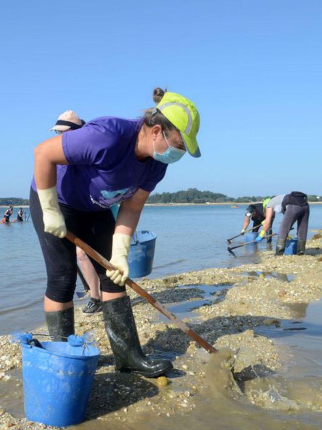 Mariscadoras isleñas en plena actividad.