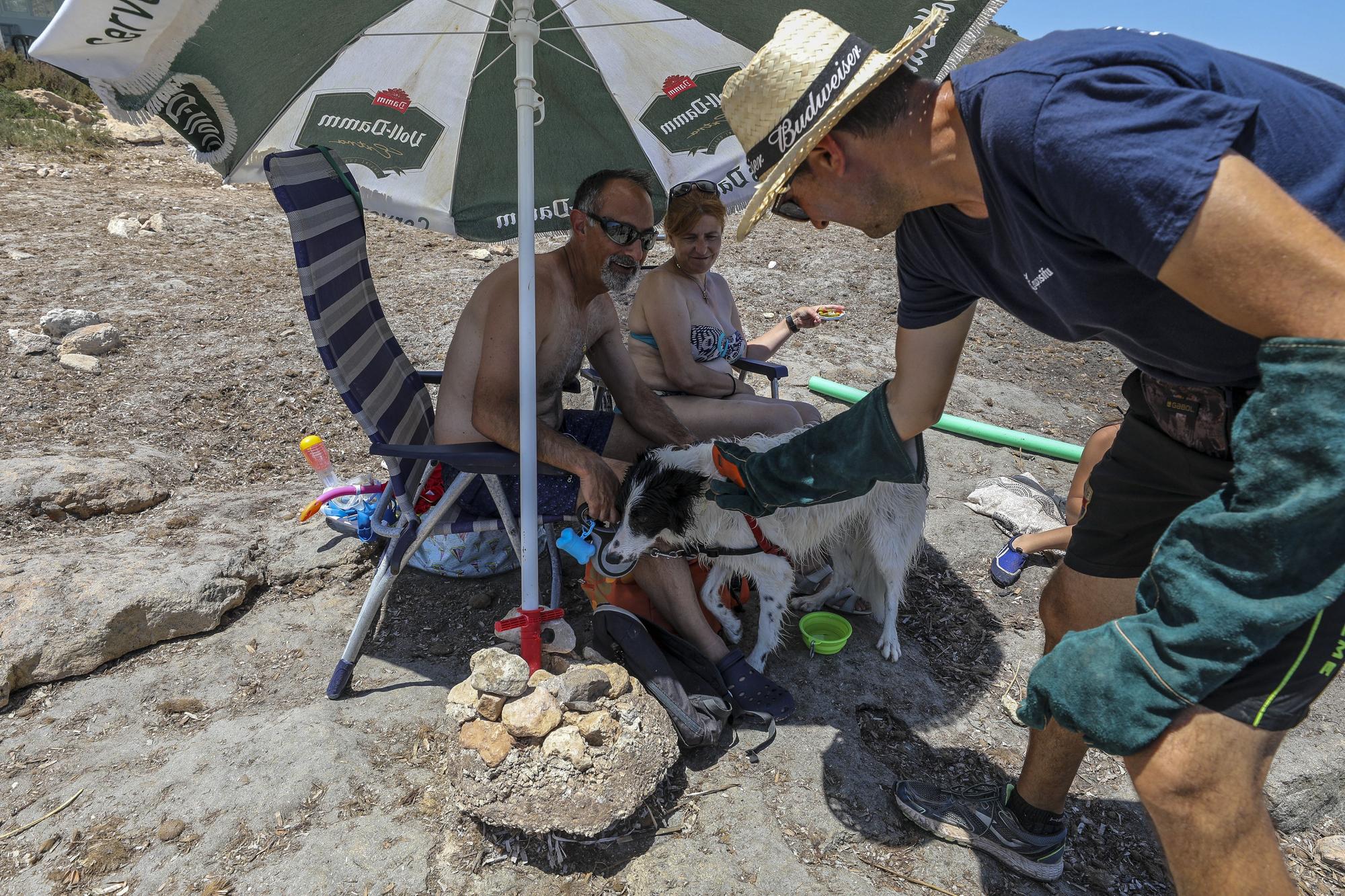 Cala dels gossets de Santa Pola: una playa con instinto animal