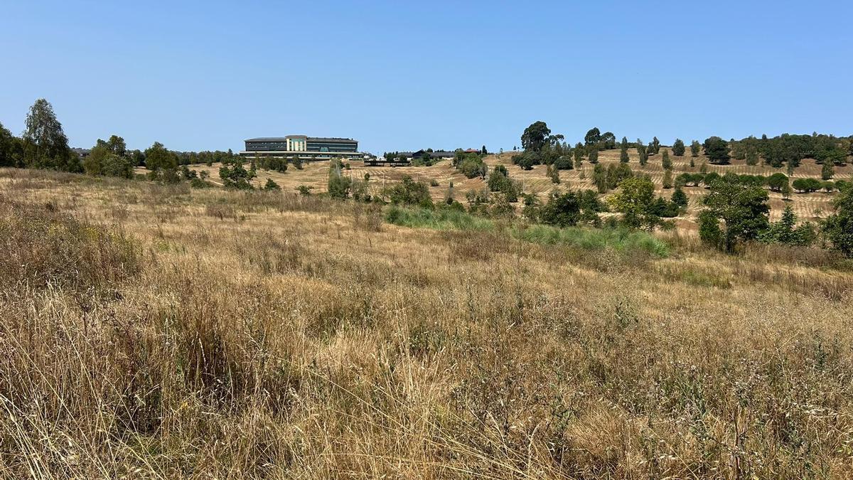 EN IMÁGENES: Los vecinos de Los Balagares dan su visto bueno a la reapertura del campo de golf