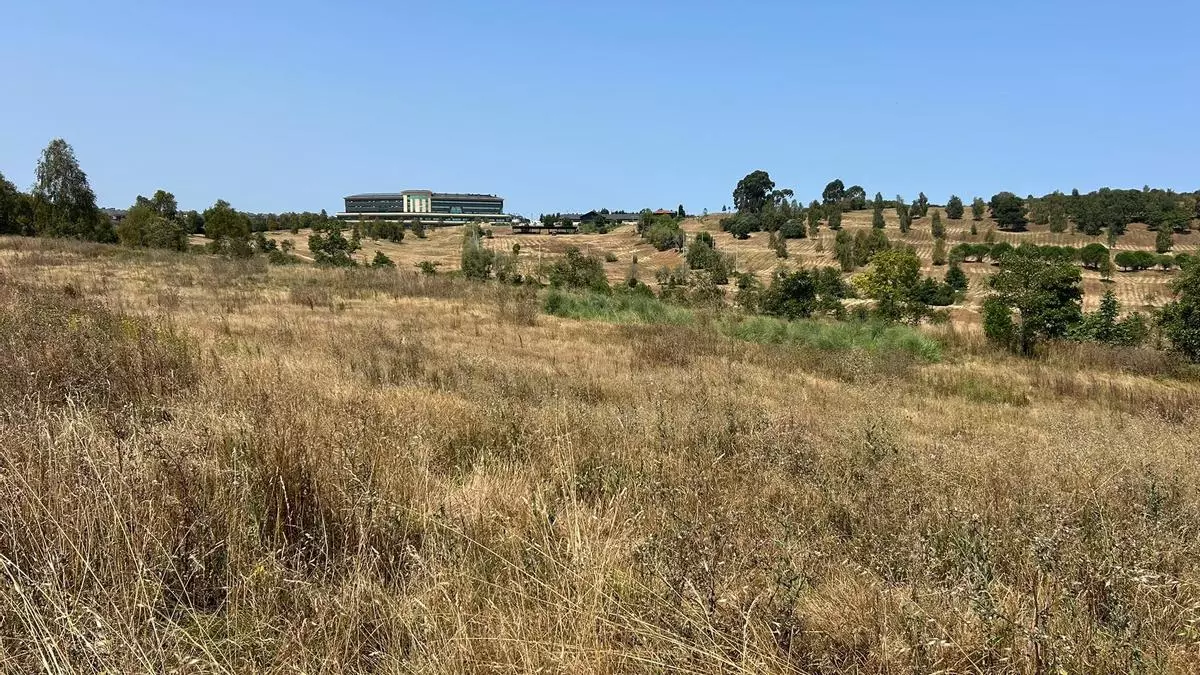 Los Balagares aguarda la reapertura de su campo de golf: vecinos de la urbanización ven en el proyecto municipal una oportunidad para "revitalizar la zona"