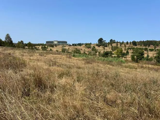 EN IMÁGENES: Los vecinos de Los Balagares dan su visto bueno a la reapertura del campo de golf de Corvera
