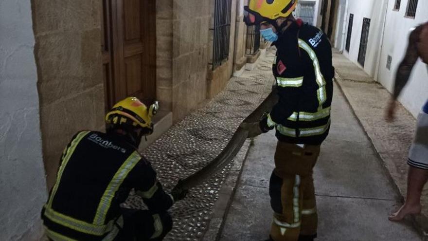 Los bomberos sostienen a la serpiente de dos metros y medio