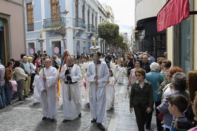 Procesión de La Burrita