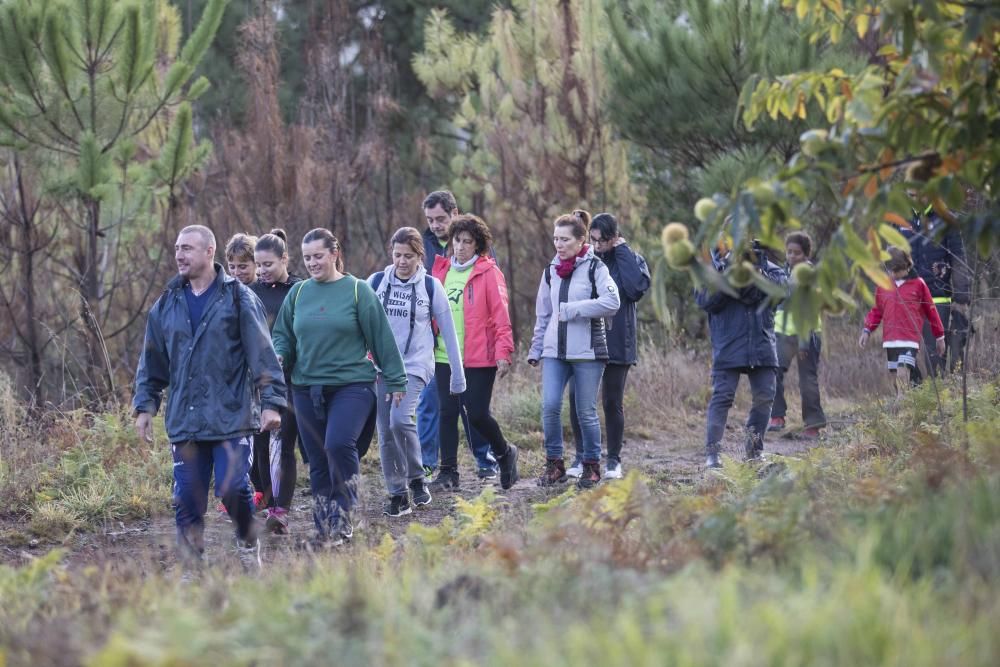 Más de medio millar de personas se citaron esta mañana en Coruxo para recorrer la zona quemada en octubre de 2017.