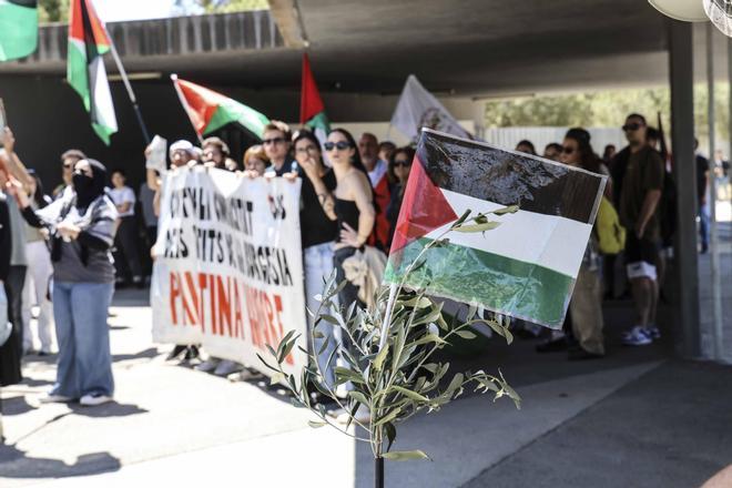 La acampada pro Palestina en la UA coge fuerza