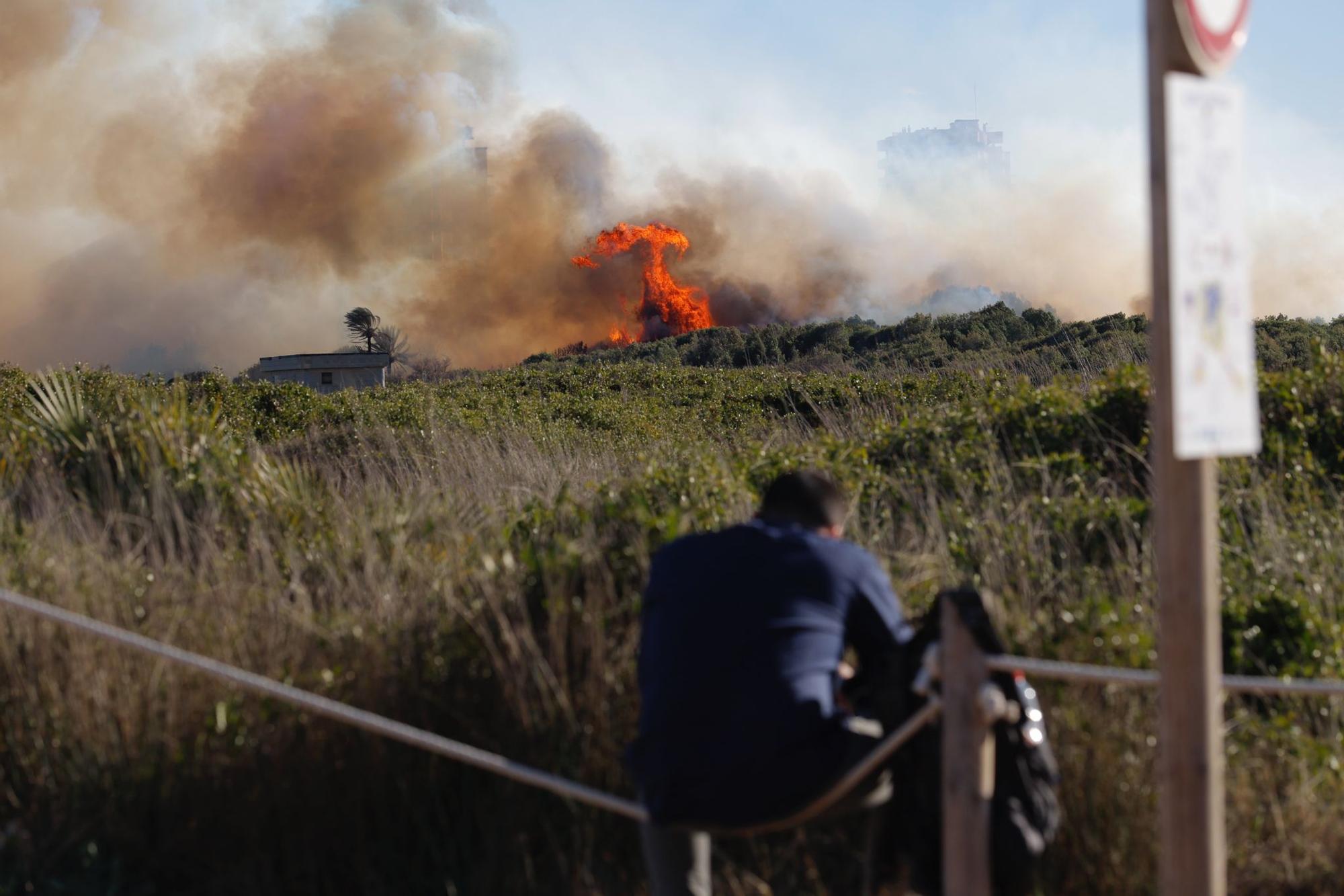 Declarado un incendio en el Saler