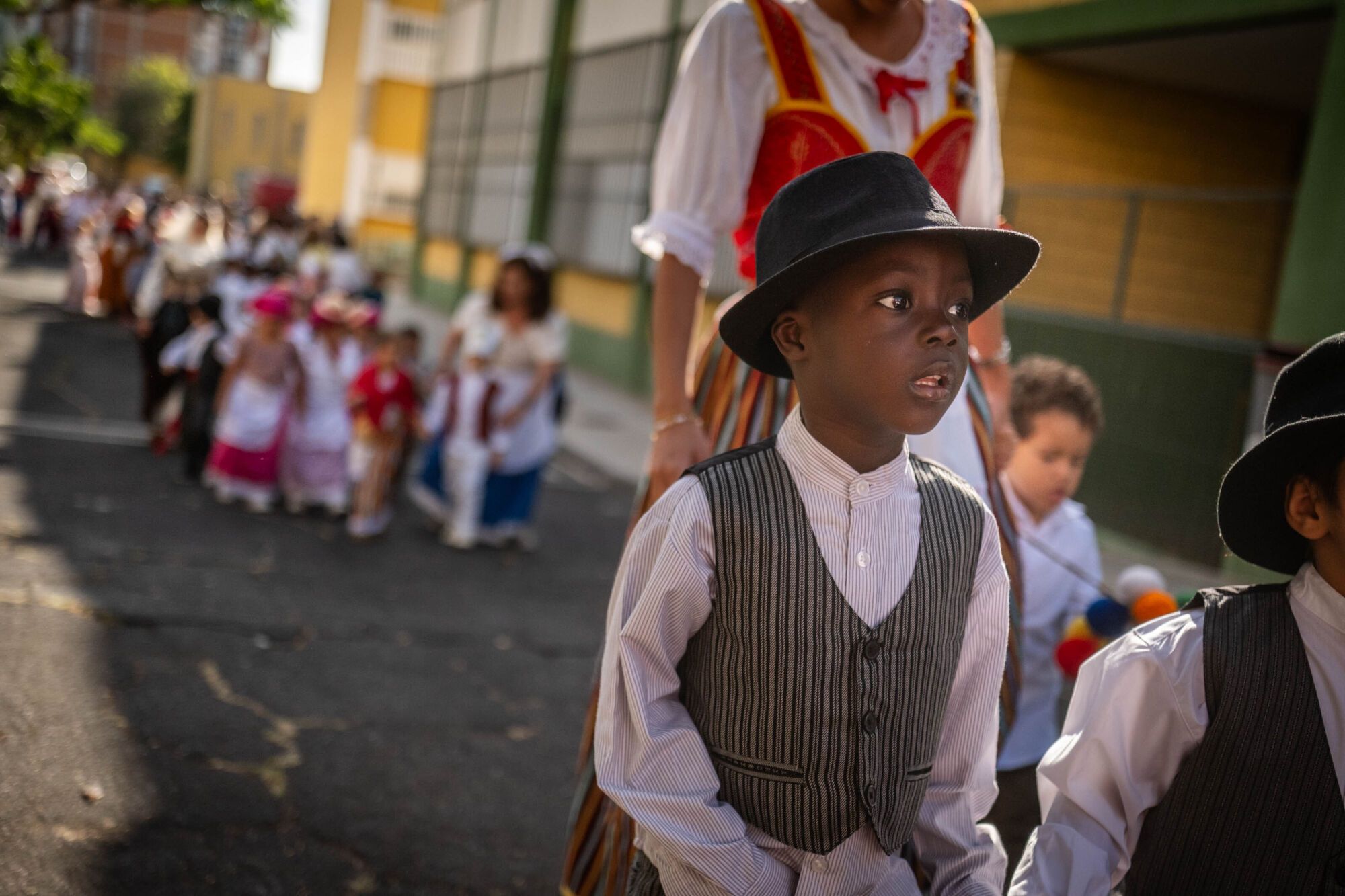 Paseo Romero del CEIP Los Dragos en Santa Cruz de Tenerife.