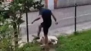 Investigado por una «brutal paliza» a su perro que se difundió en un vídeo por redes sociales