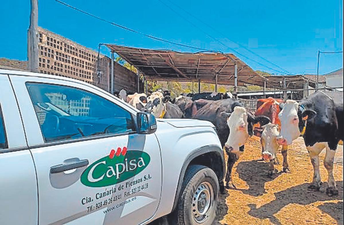CAPISA refuerza el sector primario desde dentro del territorio