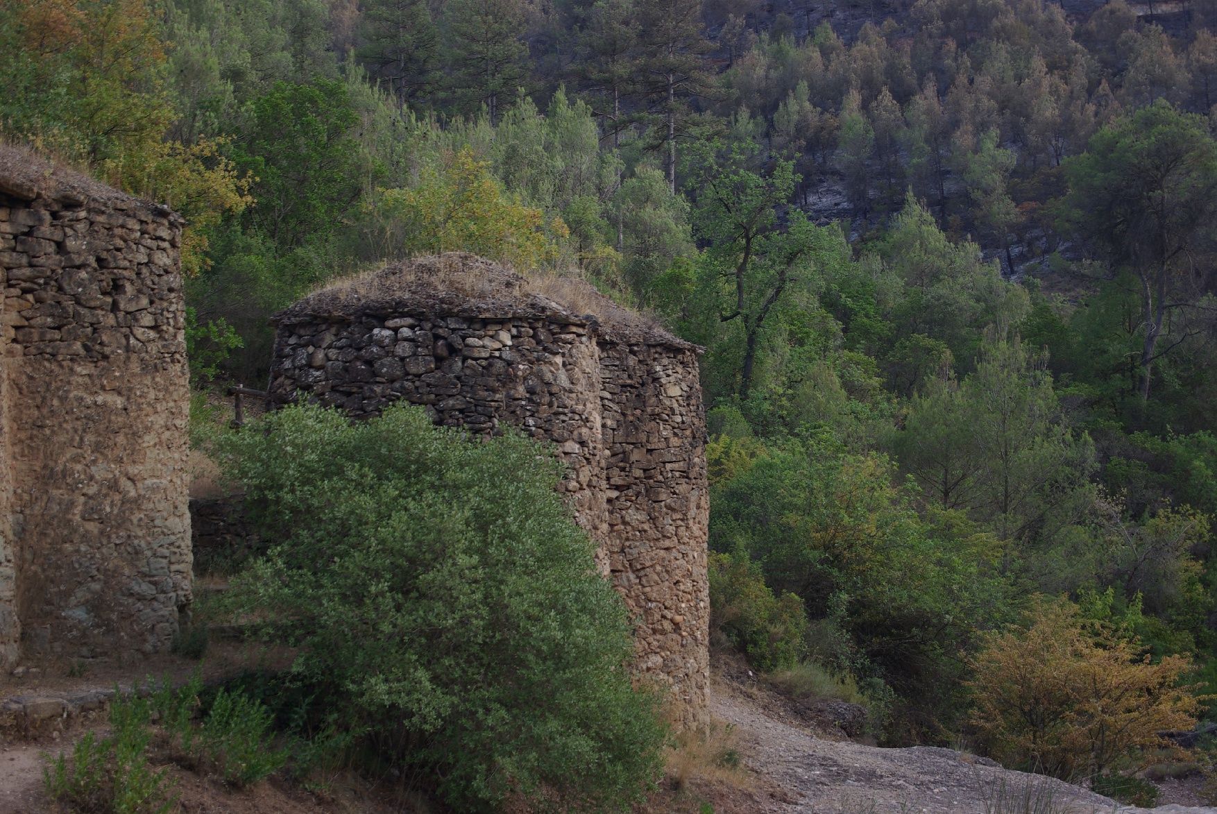 El foc envolta de cendra les tines de la Vall del Flequer