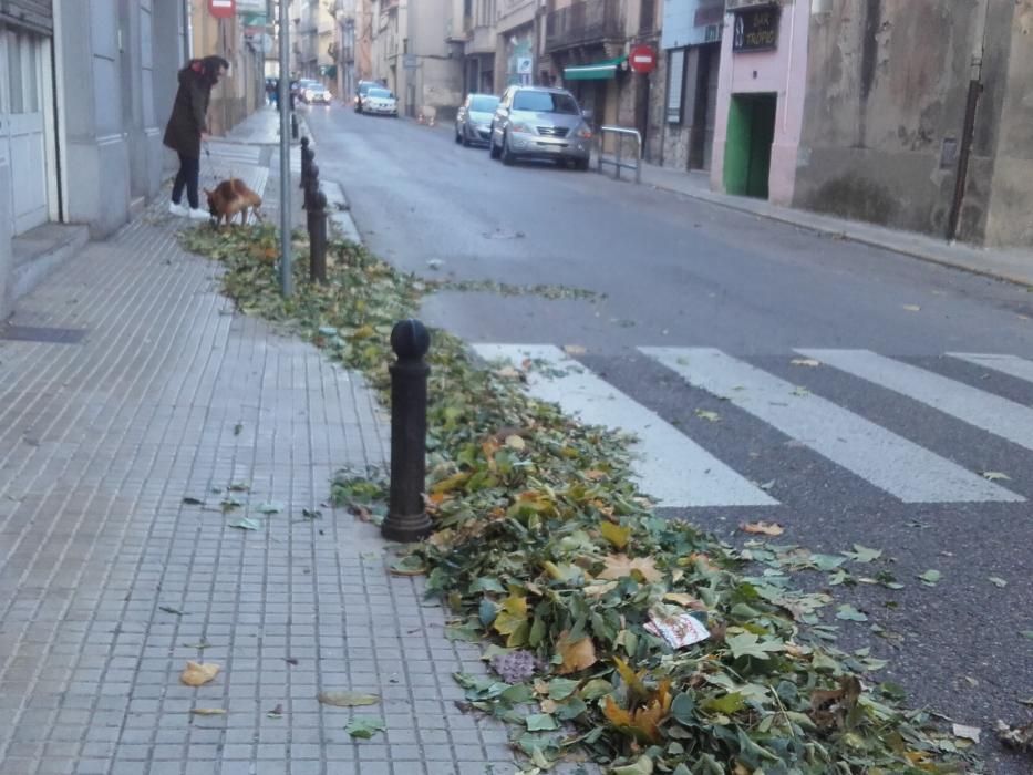 La ventada provoca desperfectes al Berguedà