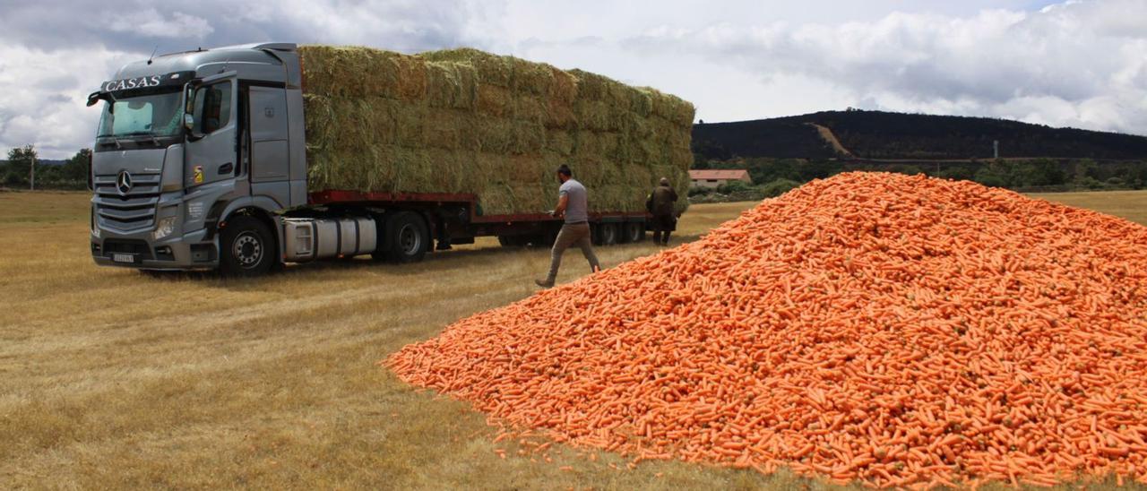 Cargamentos de  alimento para ganado que empiezan a llegar a las zonas afectadas. | Araceli Saavedra