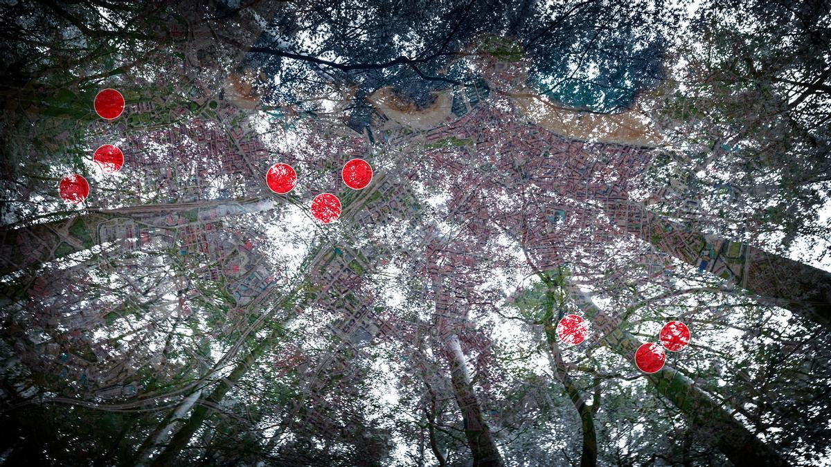 Estos son los barrios por los que se repartirán los minibosques en Gijón