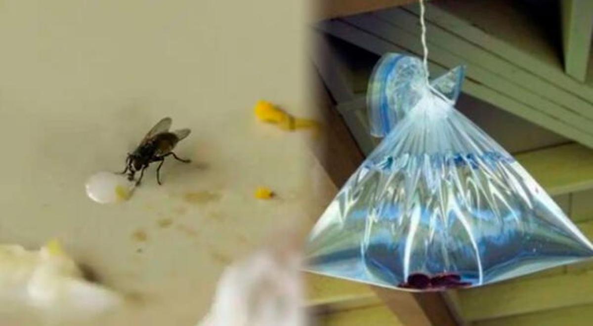 Método del papel de aluminio