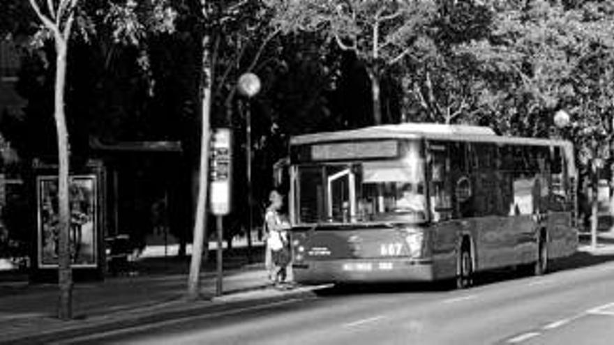 Quejas por la reordenación de líneas de bus