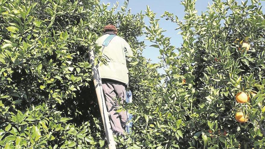 El Pleno pide estabilidad en el empleo del campo