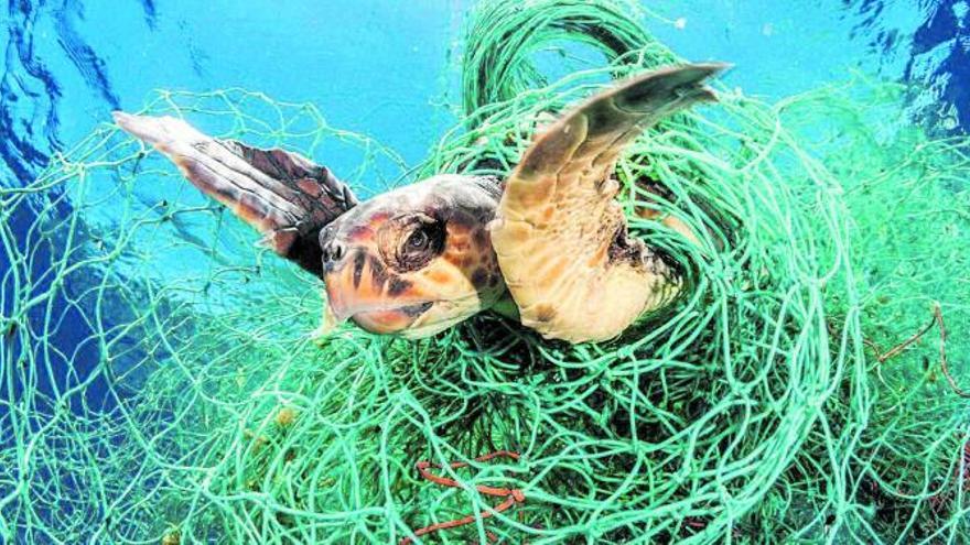 Arts de pesca sense ús
continuen matant milers
d’animals.  shutterstock