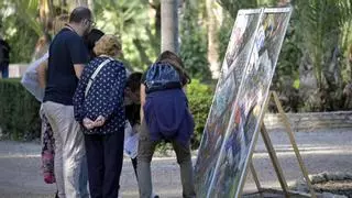 El Palmeral de Elche, escenario de una misión secreta