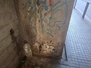 L’aigua contra les pixades de gossos d’un bon samarità a Manresa