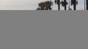 El delta de l’Ebre s’alça contra el «pla de regressió» del Govern