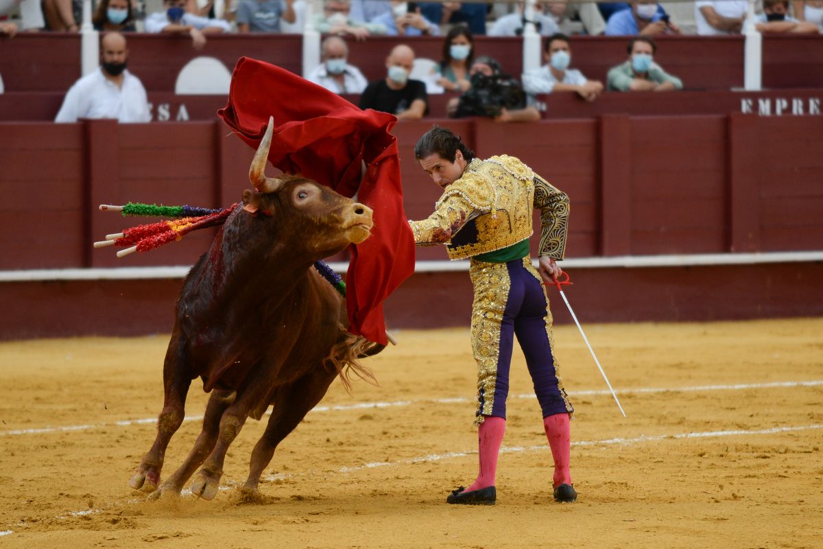 Las imágenes de la novillada en La Malagueta de la Feria taurina de Málaga de 2021.