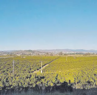 Ecologistas reclaman una solución definitiva a la EDAR Málaga Norte