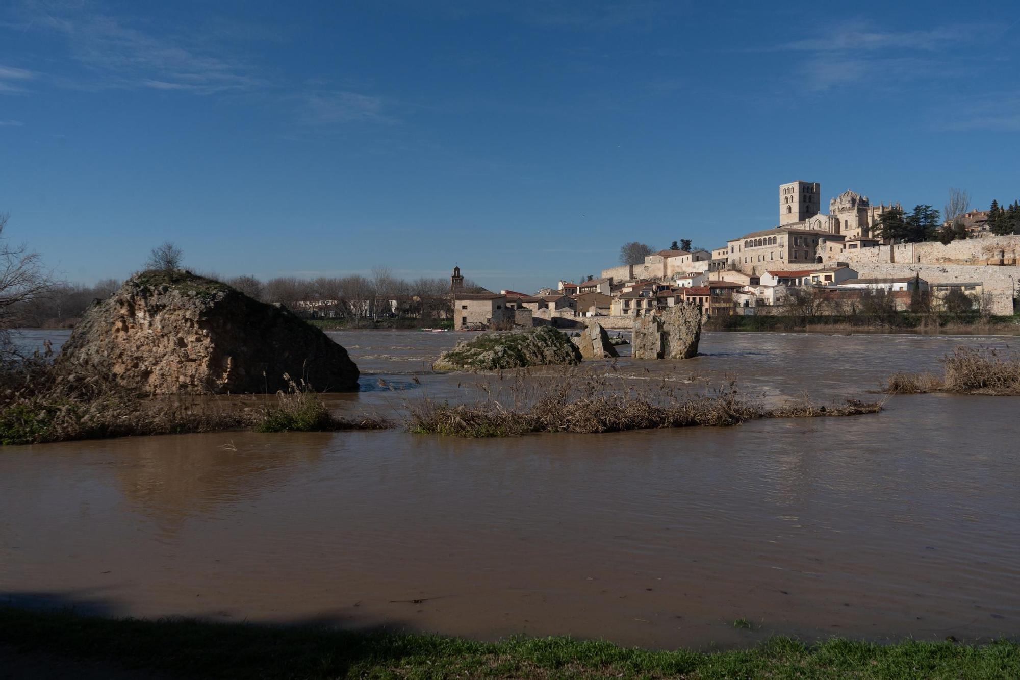 Crecida del río Duero a su paso por Zamora capital
