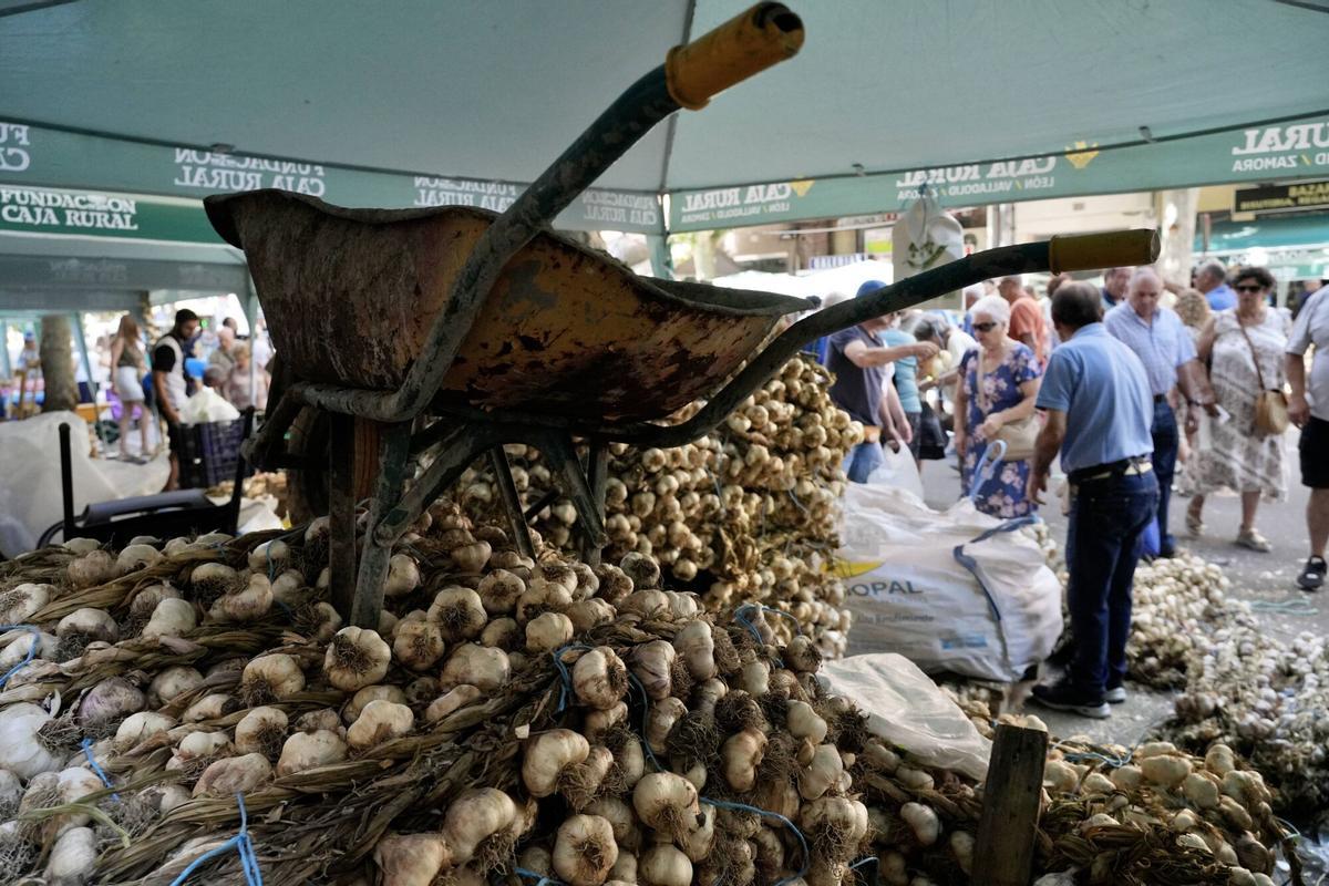 Feria del ajo San Pedro 2026
