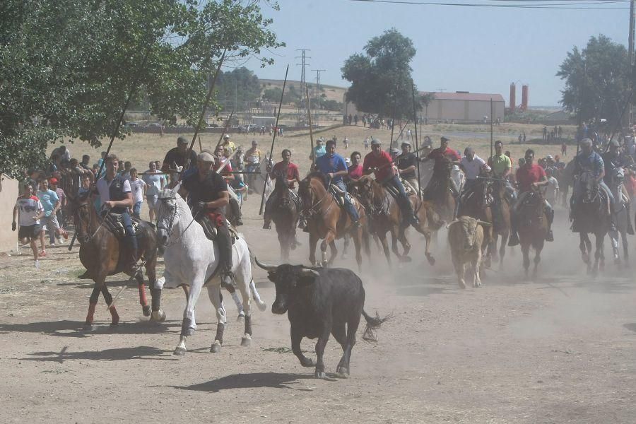 Fiestas en Zamora: Segudos espantes de Fuentesaúco