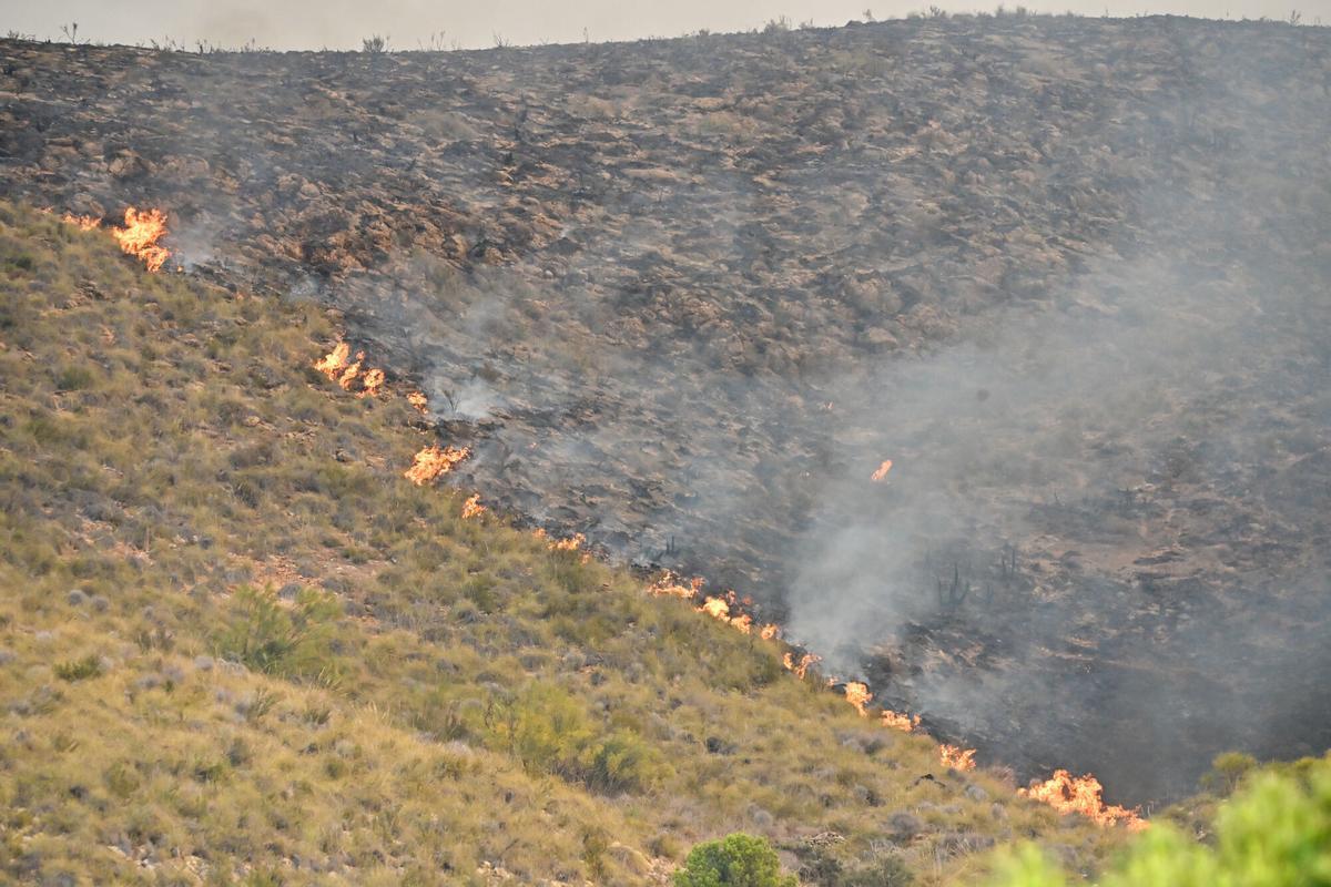 Vista de uno de los focos del incendio forestal declarado en Los Gallardos, Almería.
