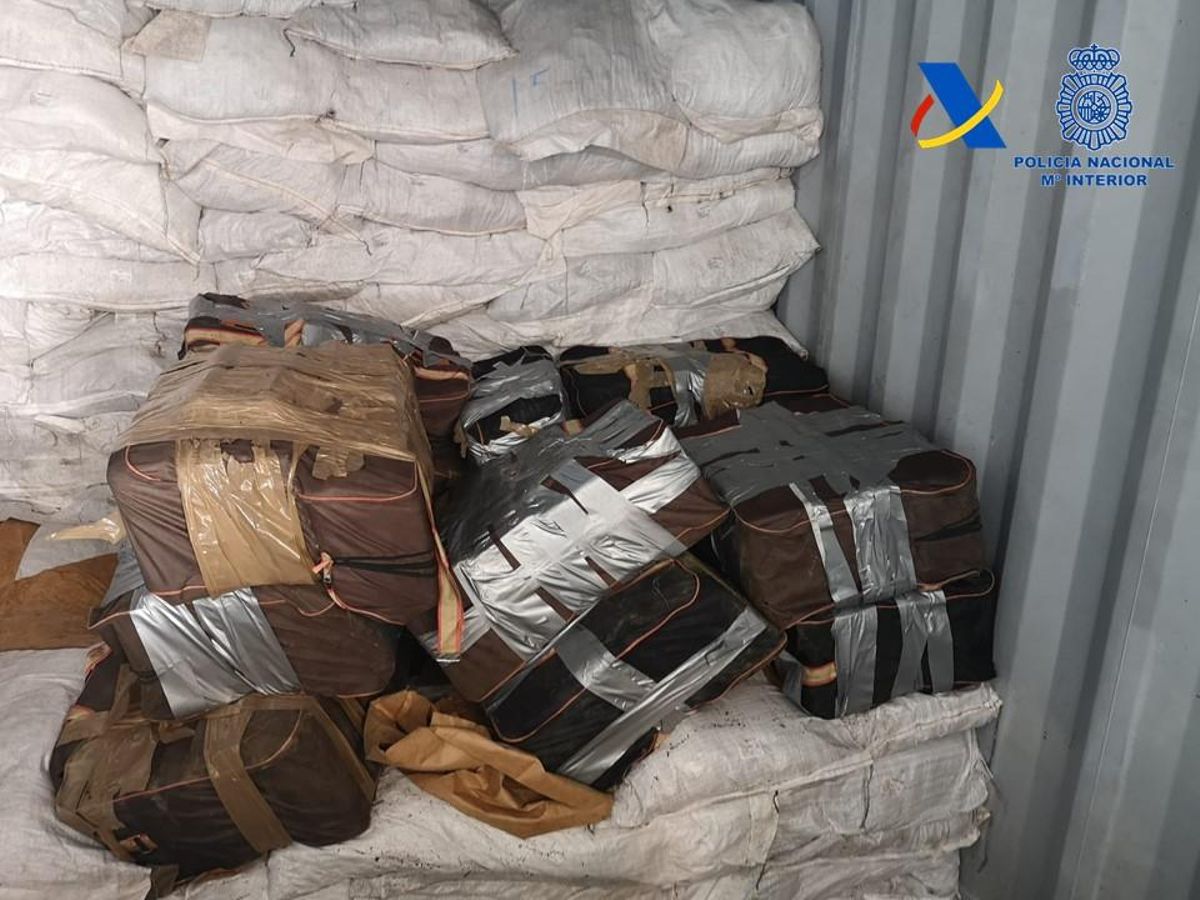 'Gancho perdido' de 426 kilos de cocaína incautado en el Puerto de Valencia en un contenedor con fibra de coco procedente de Costa Rica en 2019.