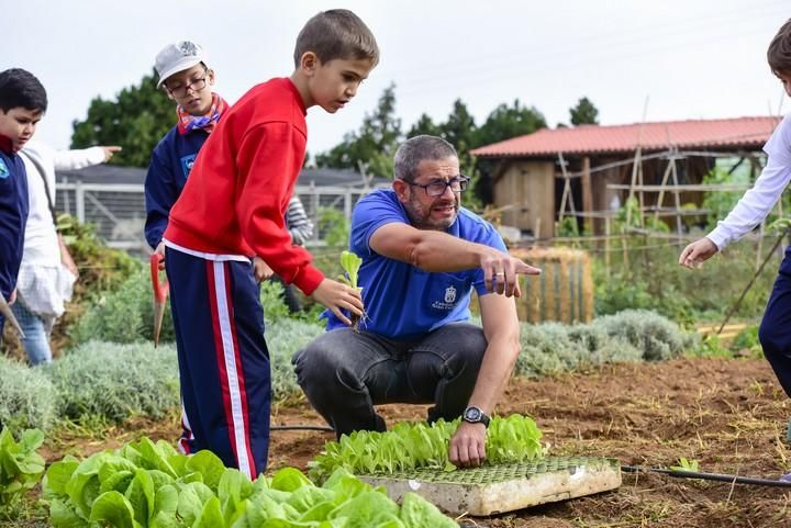 Visita escolar a la Granja Agricola del Cabildo