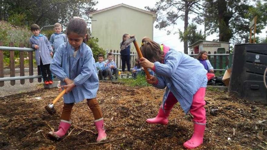 Azada en mano en el huerto ecológico escolar. // FDV